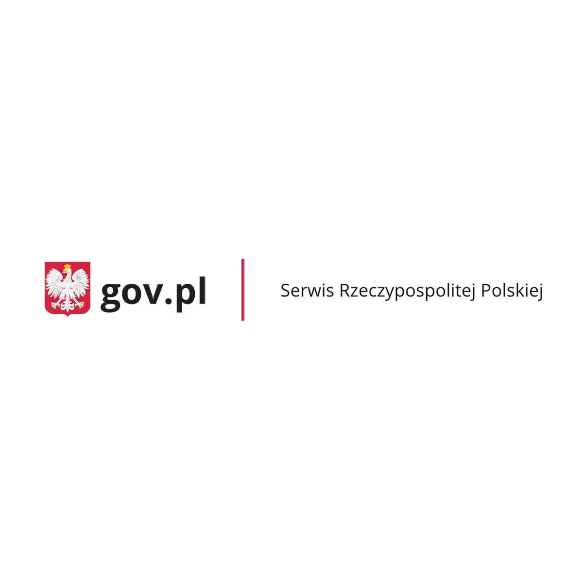 Zdjęcie Ile kosztuje wyrobienie prawa jazdy po zgubieniu? Sprawdź teraz!